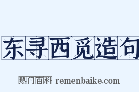 东寻西觅造句是什么意思的图片